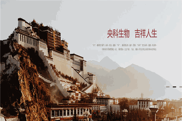 藏方館養(yǎng)生