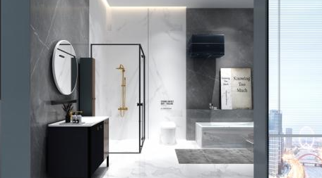 新家族衛(wèi)浴