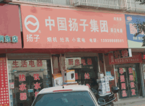 中國(guó)揚(yáng)子集團(tuán)