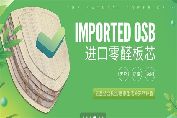 邦元名匠全屋家居定制