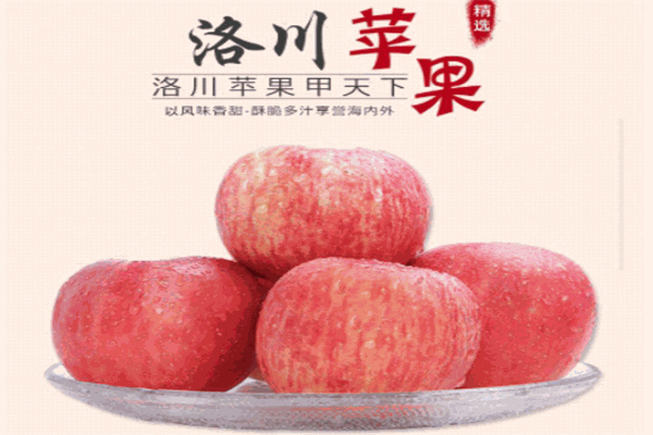 洛川蘋果