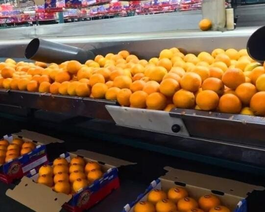 果業(yè)集團(tuán)