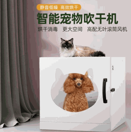 德犬智能家用安全裝備