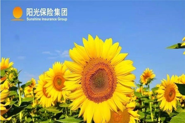 陽光汽車保險