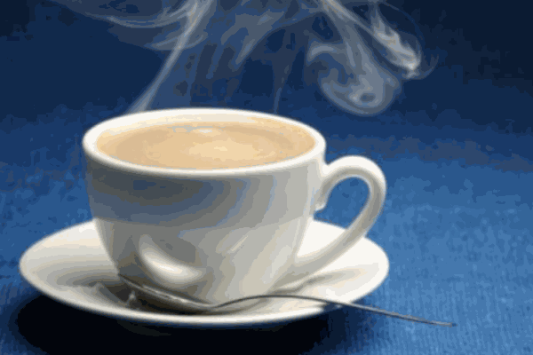 避風(fēng)港奶茶