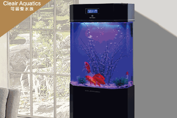 可麗愛魚缸