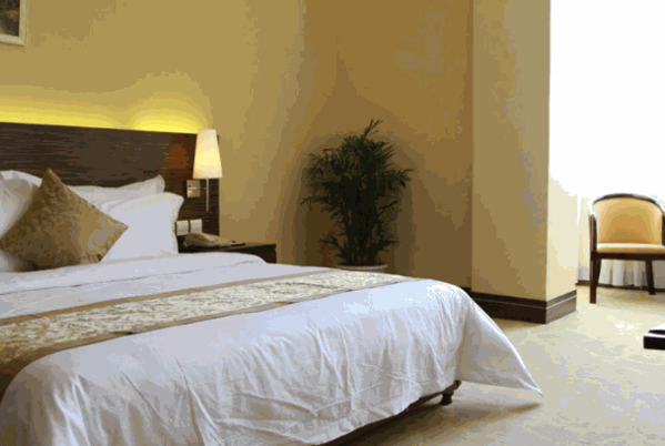 林芝東悅大酒店