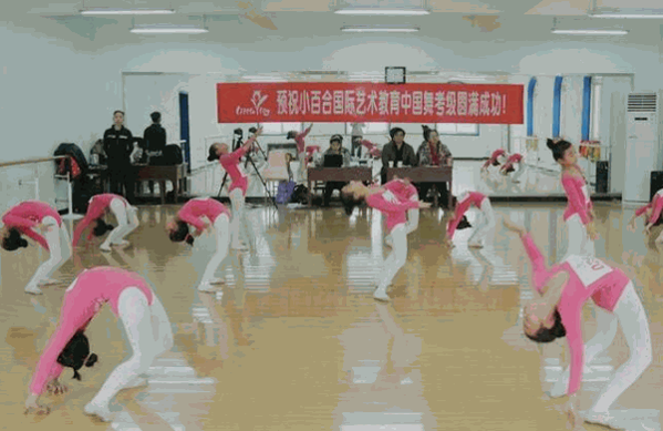 小百合國(guó)際藝術(shù)教育