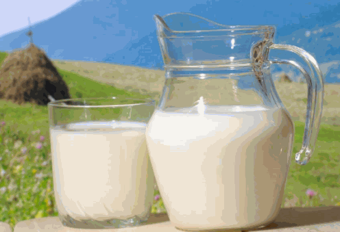 康倍萊乳業(yè)