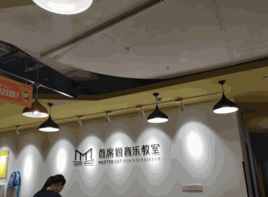 首席貓藝術(shù)教育