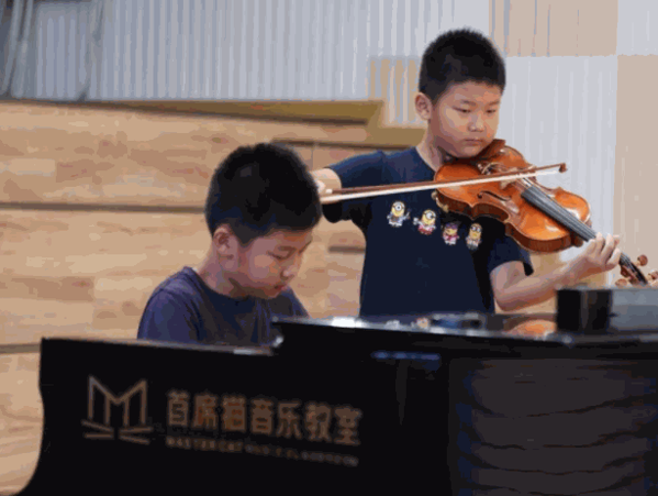 首席貓藝術(shù)教育