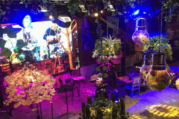 瓦的音樂(lè)酒館