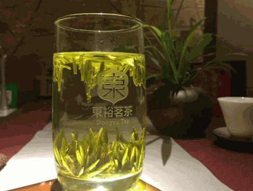 東裕茗茶
