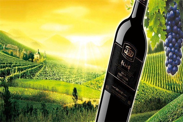 華夏五千年葡萄酒