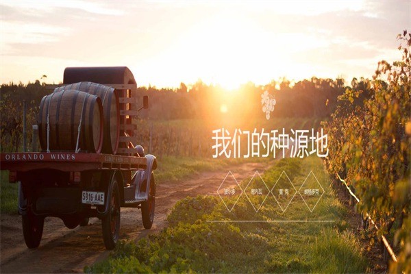 紐慕進(jìn)口紅酒