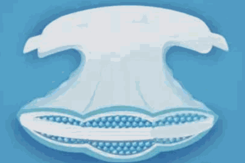 邦知寶嬰兒紙尿褲