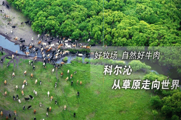 科爾沁牛業(yè)