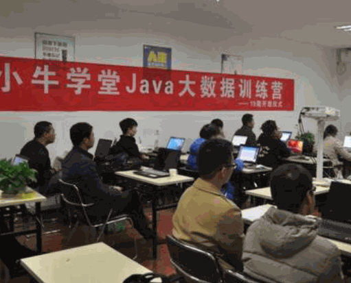 小牛學(xué)堂