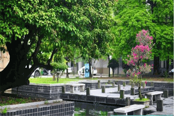 人藝美術(shù)培訓(xùn)學(xué)校