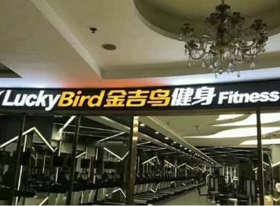 金吉鳥(niǎo)健身