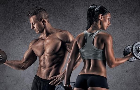 金吉鳥(niǎo)健身