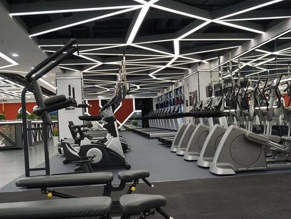 金吉鳥(niǎo)健身