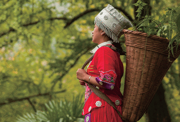 苗十三養(yǎng)生館