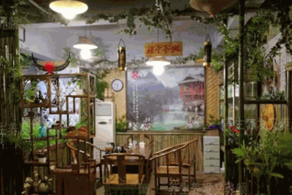 綠養(yǎng)緣養(yǎng)發(fā)館