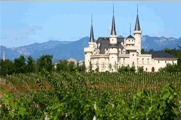 恒升加裕葡萄酒