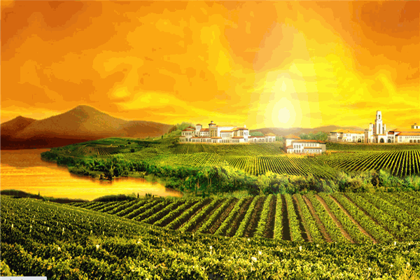 恒升加裕葡萄酒