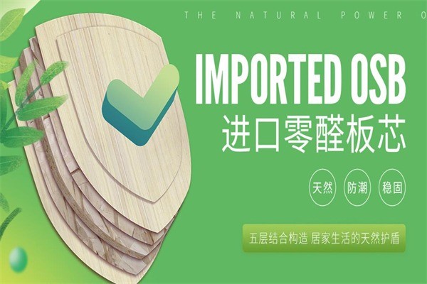 邦元名匠家居定制