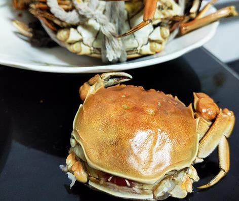 今錦上大閘蟹