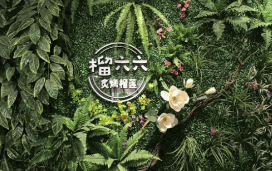 榴六六炙烤榴蓮