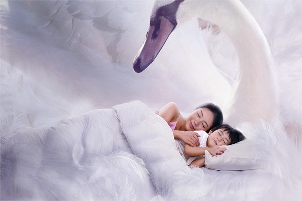 遠(yuǎn)夢(mèng)家紡