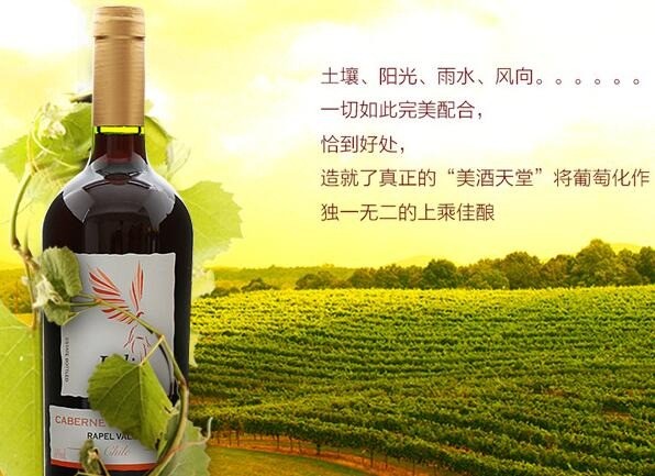 百利天使葡萄酒