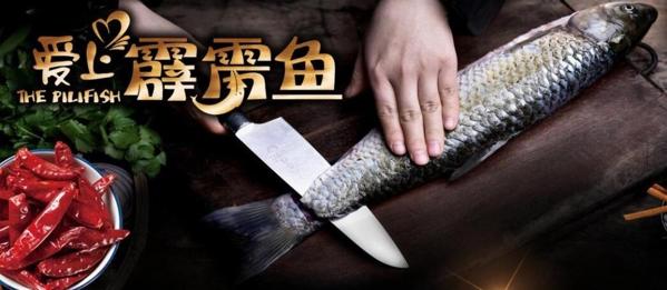 愛(ài)上霹靂魚(yú)