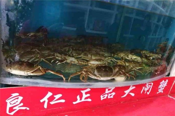良仁正品陽(yáng)澄湖大閘蟹