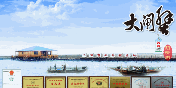 百蟹匯陽(yáng)澄湖大閘蟹