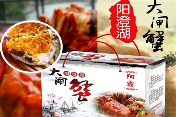 小夏陽澄湖大閘蟹