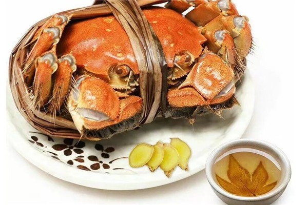 小夏陽澄湖大閘蟹