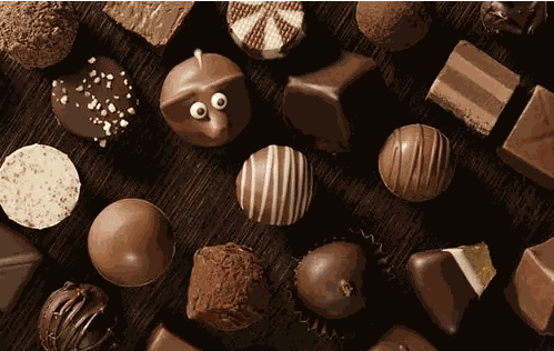 瑞可菲手工巧克力