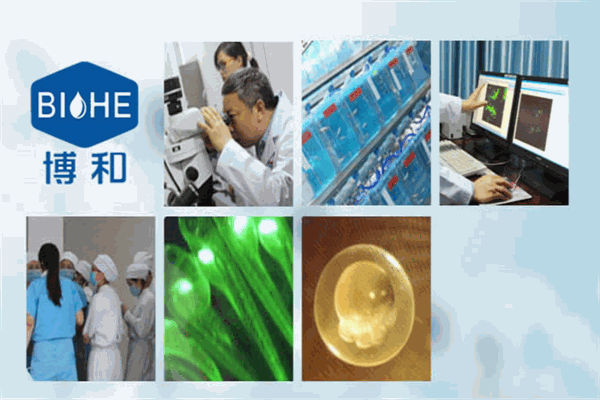 綻妍護(hù)膚品