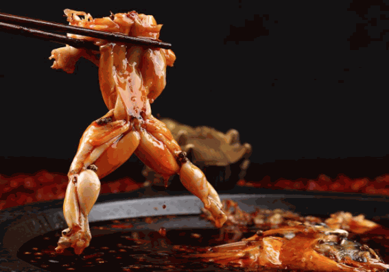 龍門飛魚美蛙魚頭