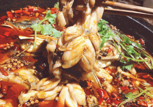 龍門飛魚美蛙魚頭