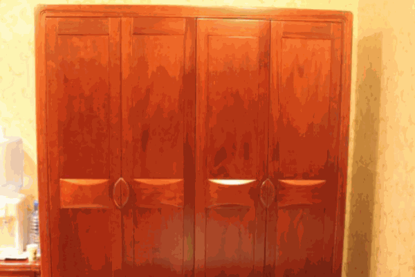 向龍偉業(yè)衣柜