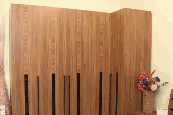 向龍偉業(yè)衣柜