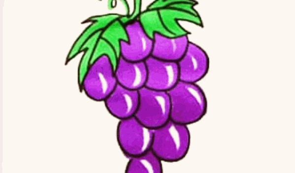 紅葡萄少兒美術