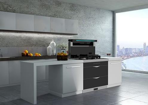 歐美春天集成環(huán)保灶