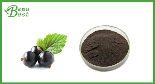 百斯特護(hù)膚品