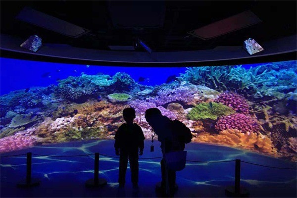 O.ME3D探夢(mèng)館